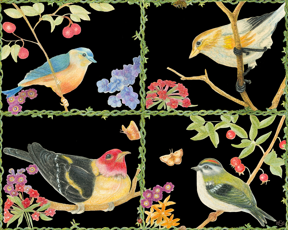 Thumbnail: Bird Cards