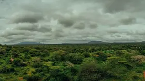 Déclaration officielle de Wildlife Works au rapport Somo