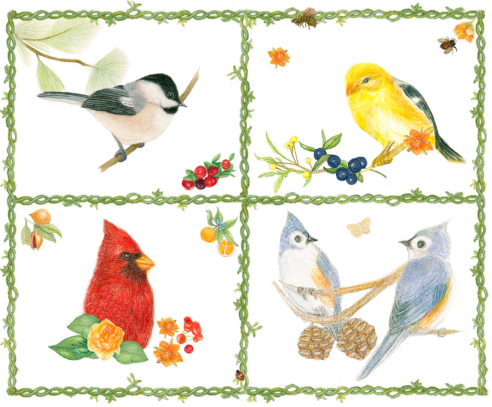 Thumbnail: Bird Cards