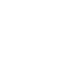 twitter icon