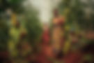 Filip-C-Agoo-Everland-Marketing-Kenya-7546-WEB-low-resolution.jpg