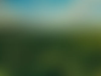 Annual Biomass Stock and Change Data for National REDD+ Forest Reference Emission Levels: A Direct Estimation Approach 