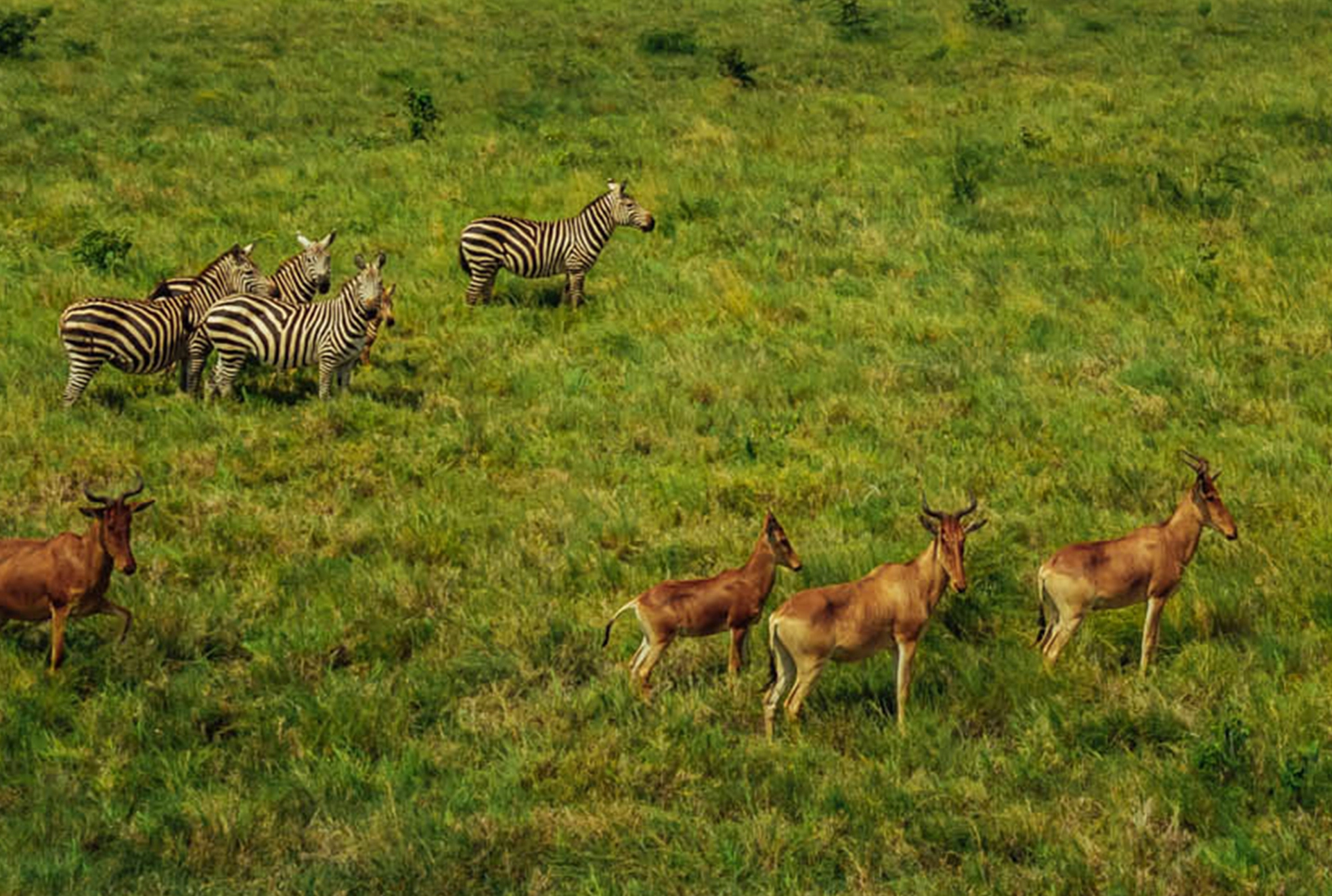 Filip-C-Agoo-Everland-Marketing-Kenya-1388-WEB-low-resolution.webp
