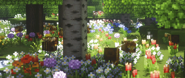 Untitled (1).gif