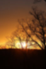 0E9A6575.JPG