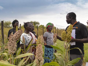 Empowering Futures in Governance and Development: A Focus on Agro Pastoral and Education, Health & Protection Initiatives