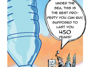 Cartoon Insights