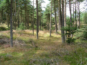 A Century of Conservation: The Danish Society for Nature Conservation Founding and Early Mission