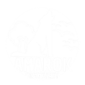 Corklands Volkswagen Amarok Discovery