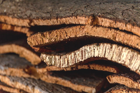 Corklands, eventos e experiências nos territórios de montado do Ribatejo e Alentejo, Portugal: Natureza, cultura, aventura, gastronomia e património