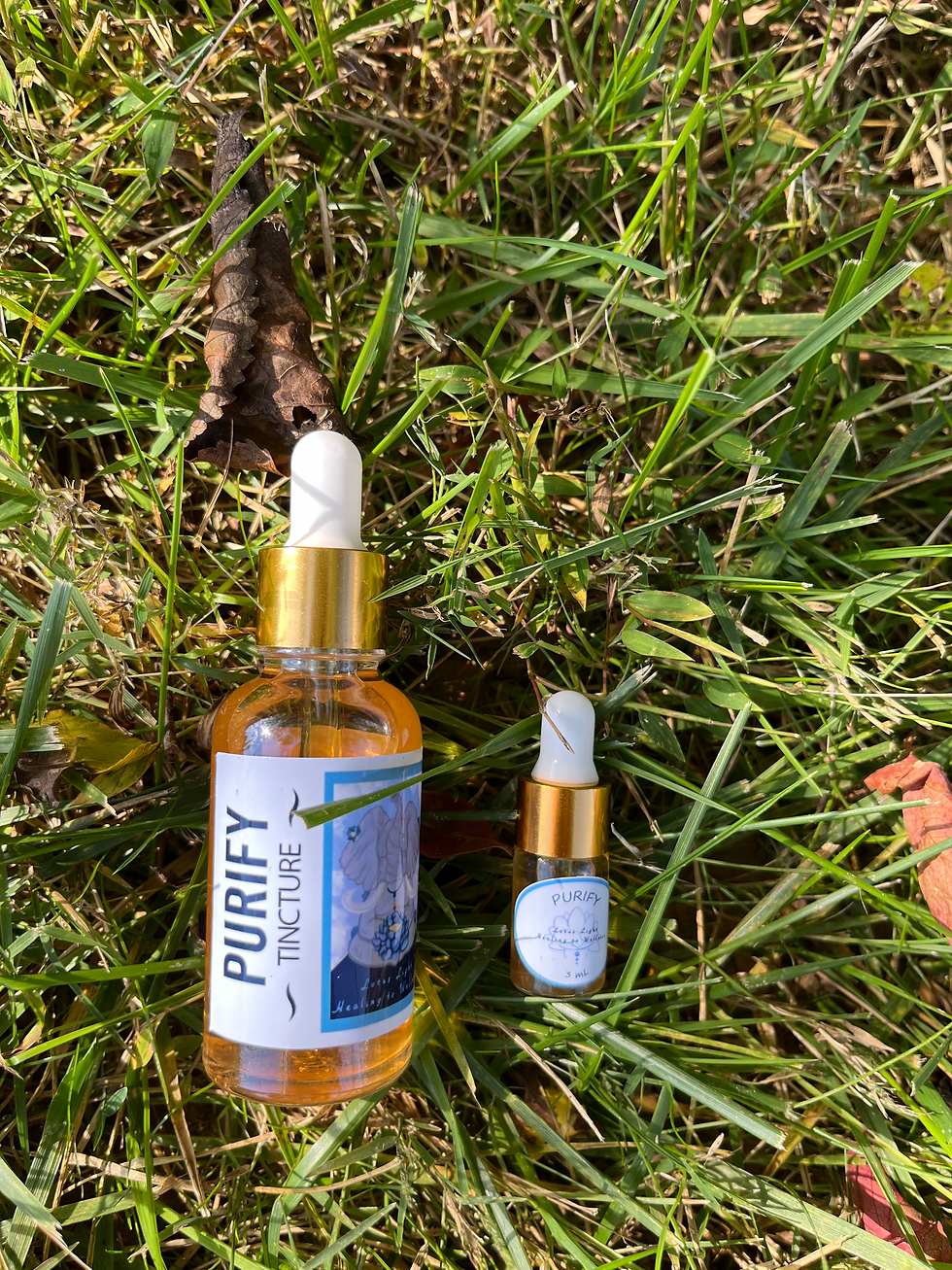 Thumbnail: Purify - Clarity, Protection, & Vital Energy