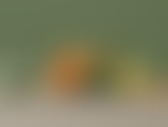 Grow Your Blog Community