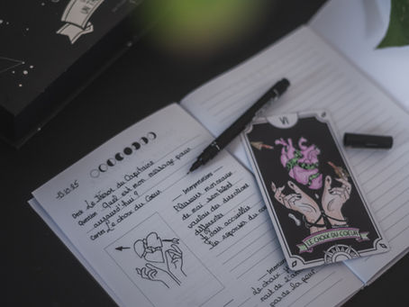 Le Journal de bord du Capitaine