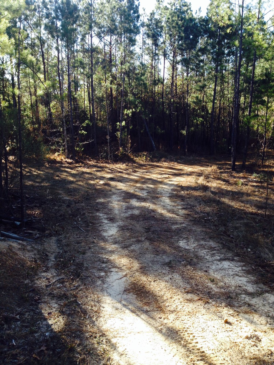 Mini Trails