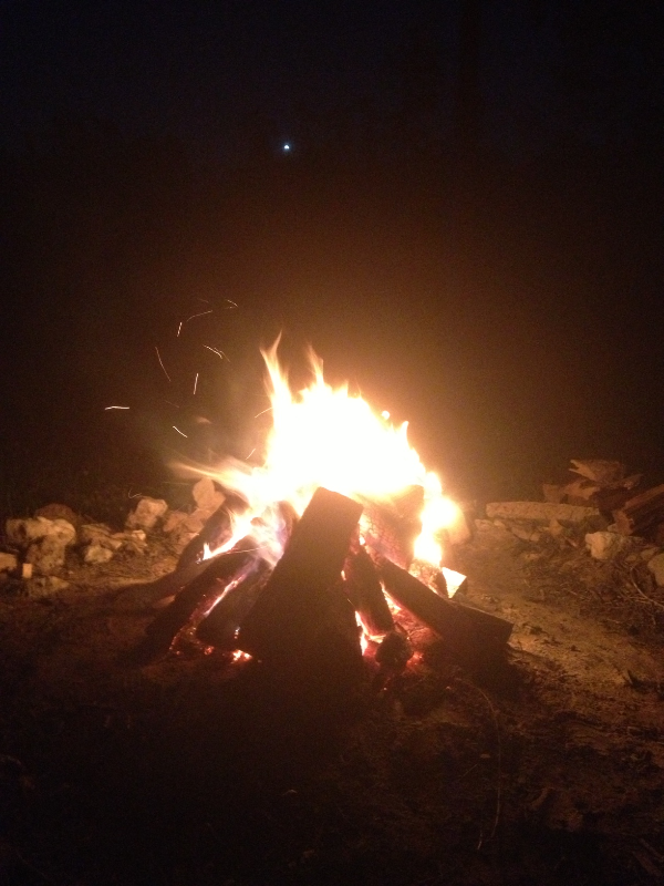 Fire Pit 2
