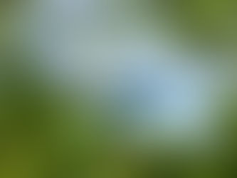 Strange Rumblings in Huahine