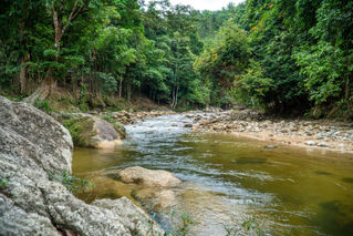 A6501615.jpg