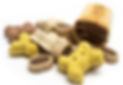 Different kinds of dog treats isolated on white background.jpg