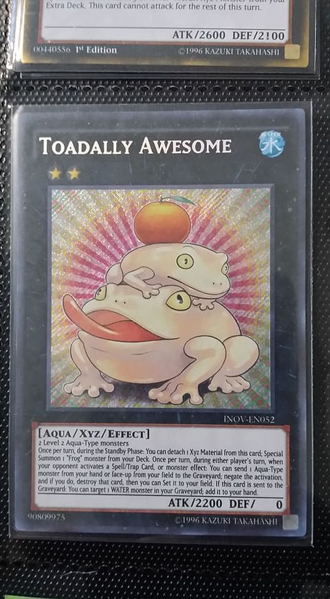 Toadally awesome | website Toadally awesome | website