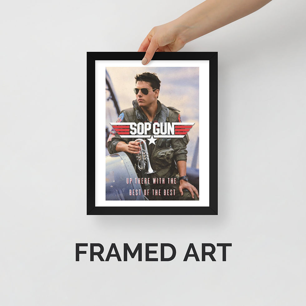 SOP GUN Framed art