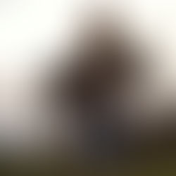 New Year, New Saddle