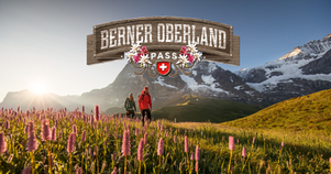 Berner Oberland Pass.png