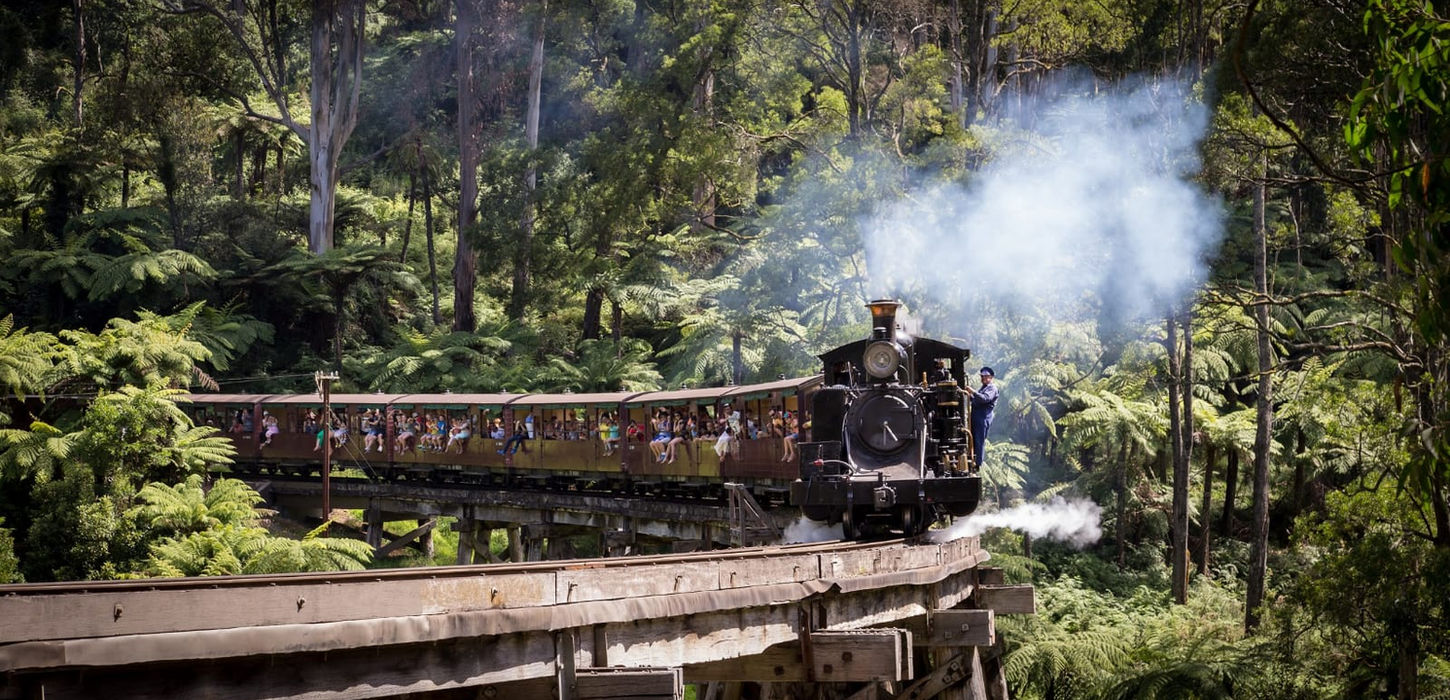 “Steam train traveling through dense forest landscape.”