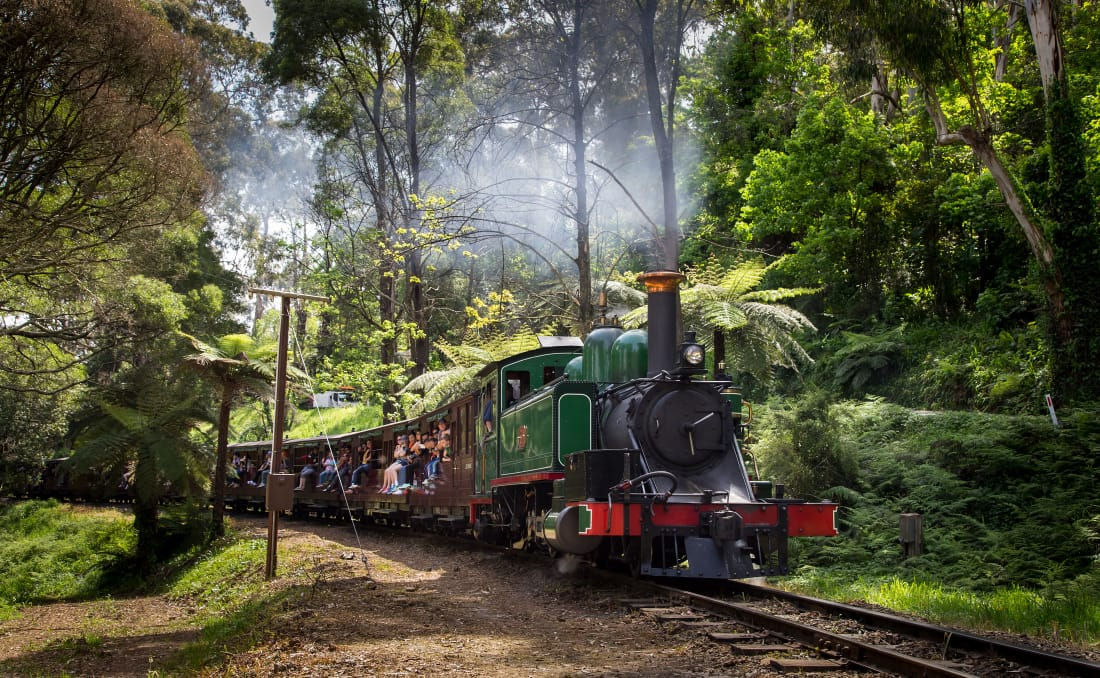 “Vintage steam locomotive surrounded by trees and ferns.”