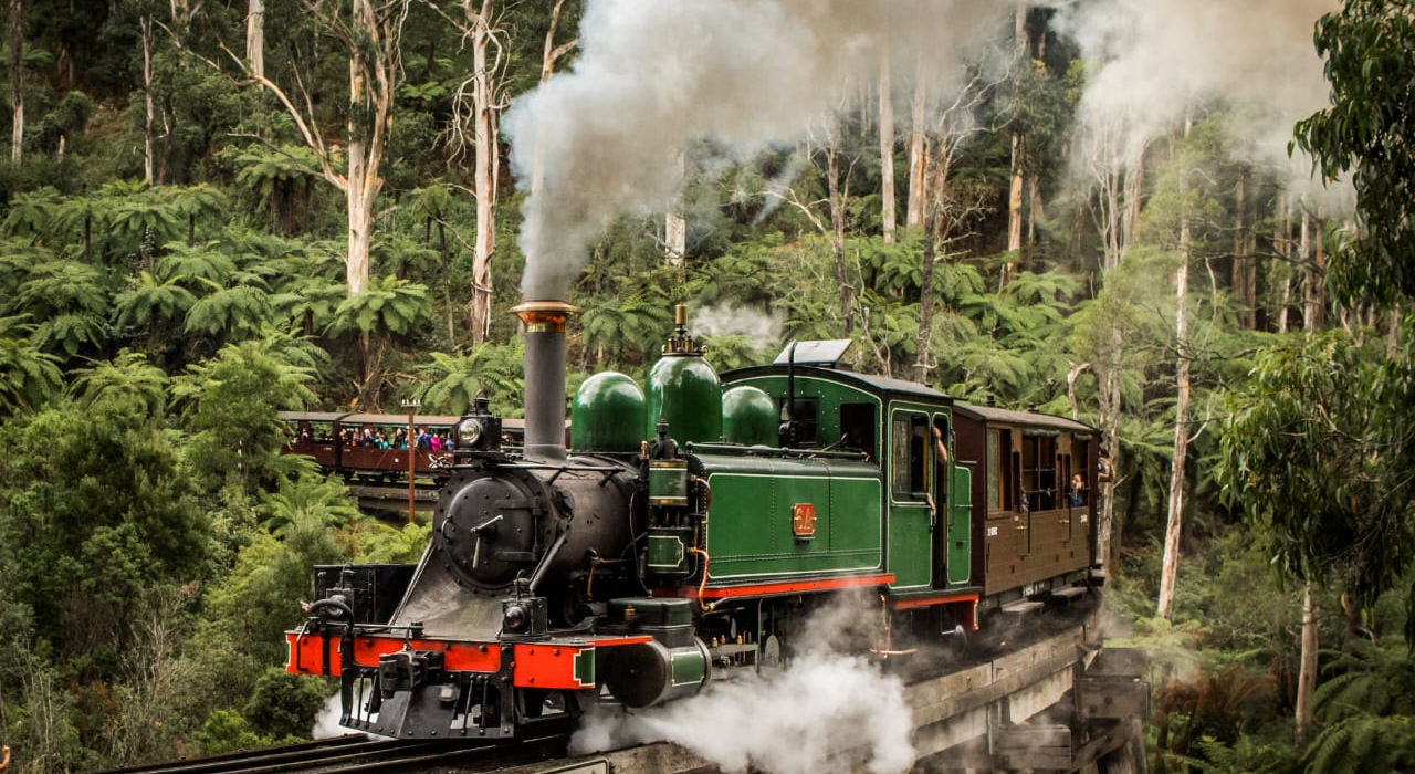 “Historic steam train moving through lush green forest.”