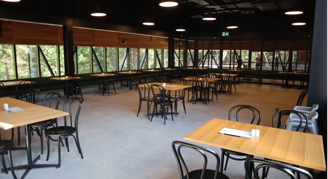 “Indoor café with wooden tables and forest view windows.”