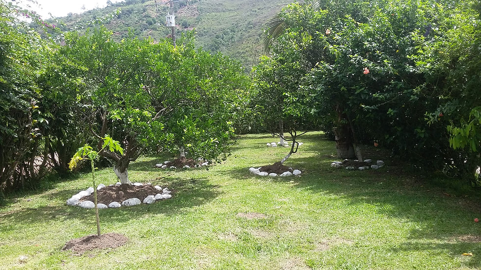 20160603_113320
