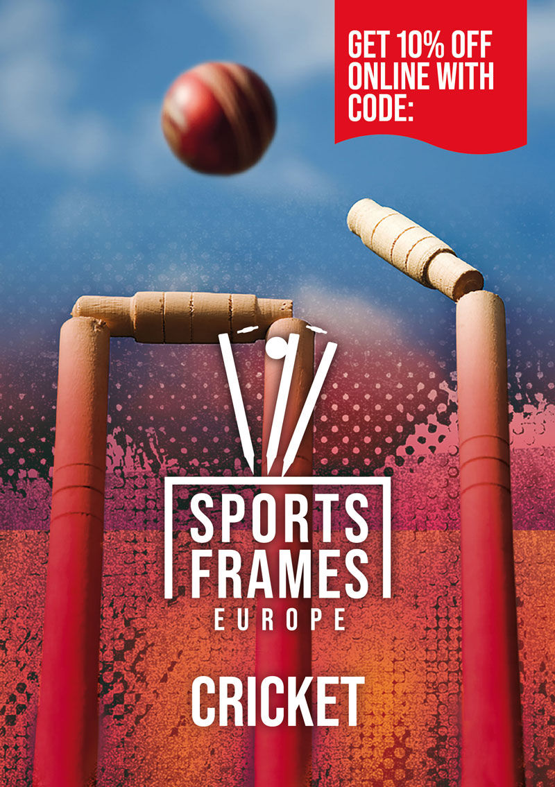 Sports Frames Leaflet Cricket