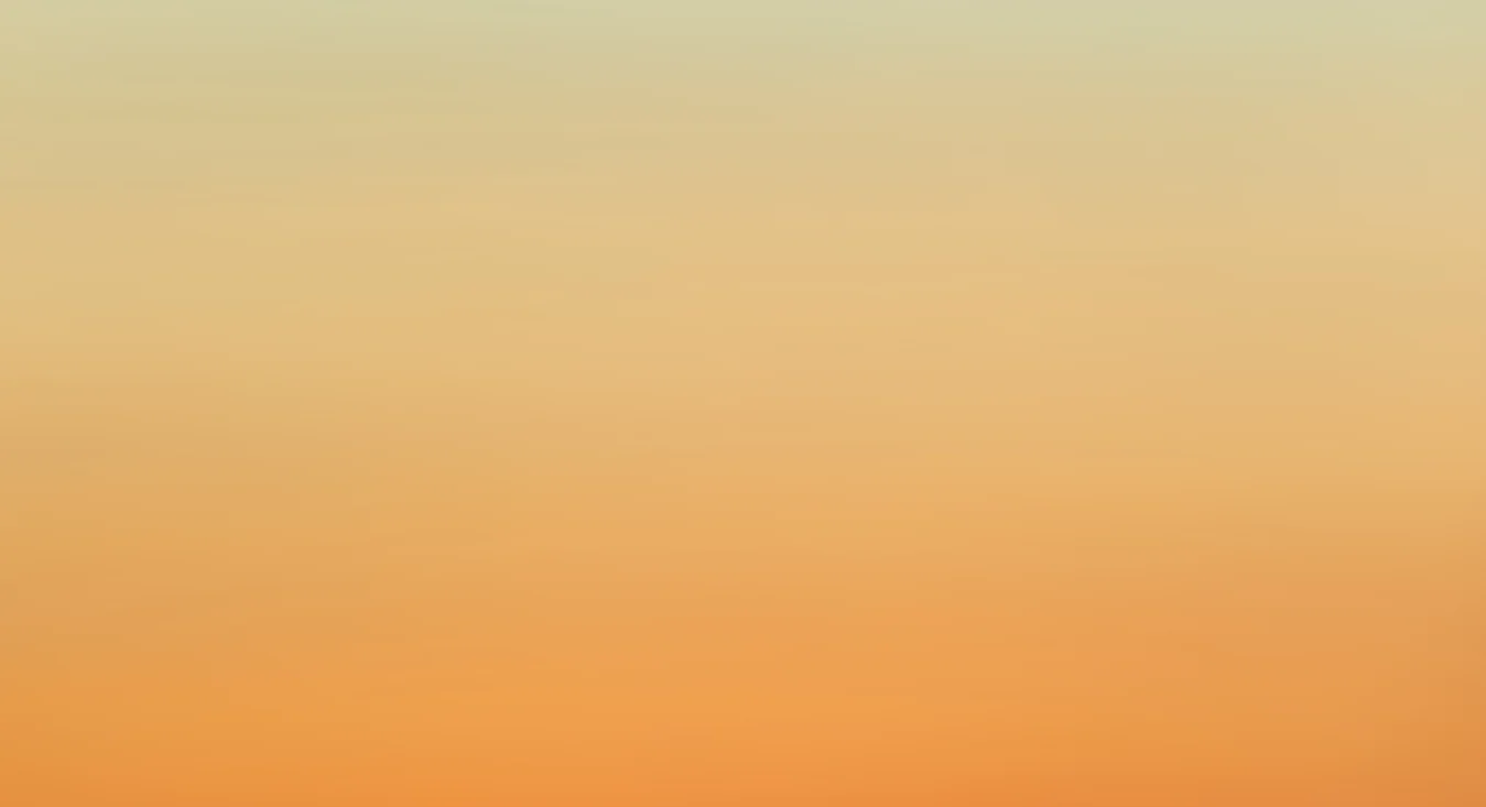 back ground file 1.webp