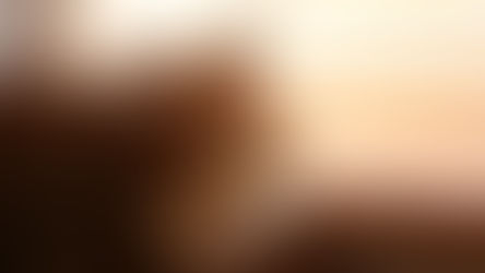 Wie sinnvoll sind Faltrollos für die Wärmedämmung?