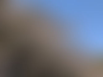 何分咲きでしょうか。