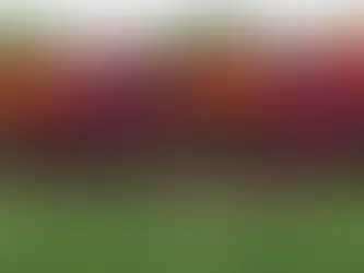 How to Choose the Right Plants for Your Landscape