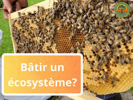 Vers une ferme plus résiliente, pas à pas