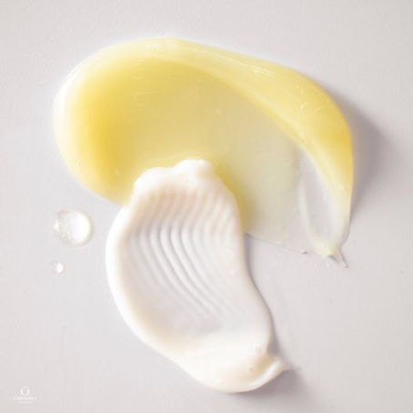 Oil vs. Water: Understanding the Importance for Skin Health