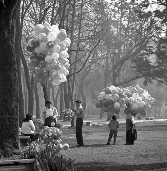Birthday Party in the park