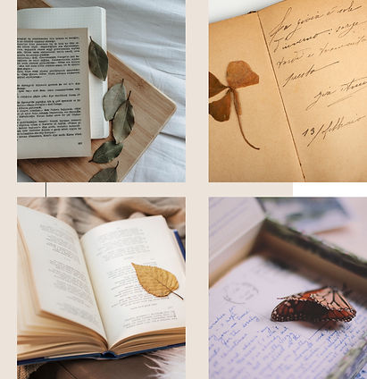 Minimal Aesthetic Student Presentation Template (18)_edited.jpg