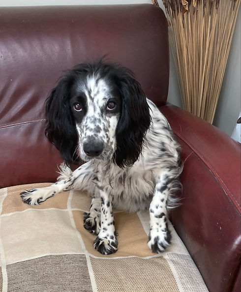 IMG_1540 (Edited).HEIC