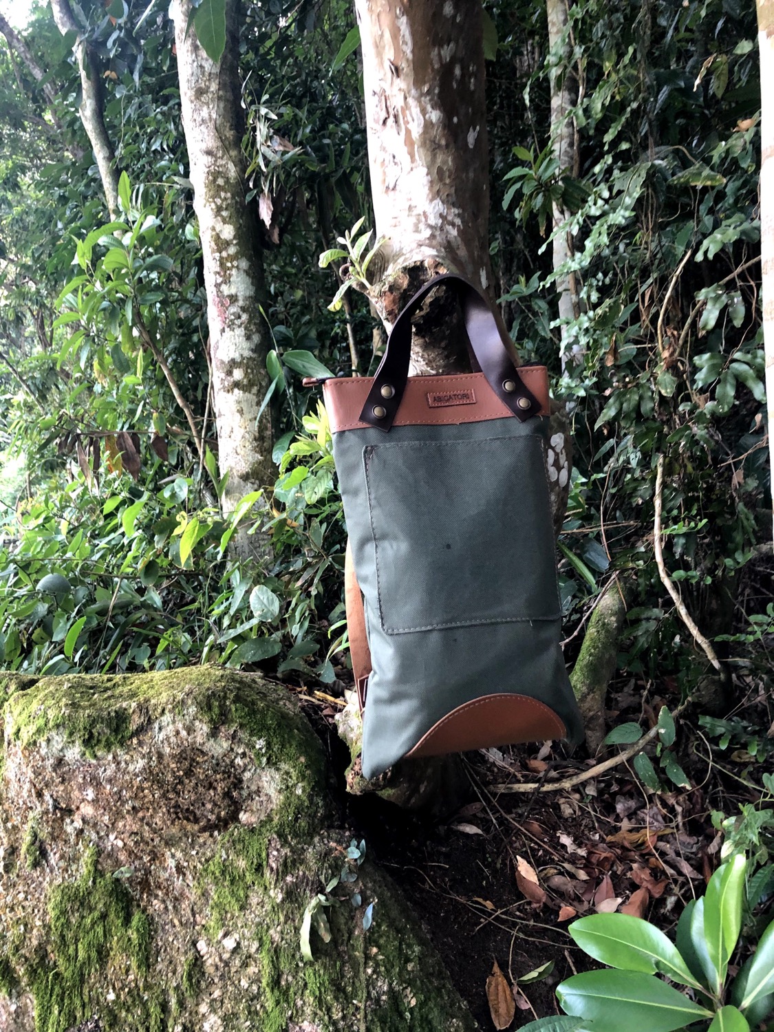 Miniatura: Abicatori Fomentar  Inclusiva Dia Dia