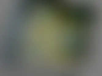 New Publication: Let There Be Light 