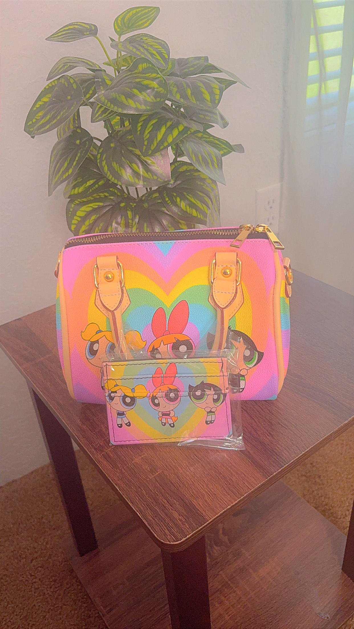 Power Puff Pillow Bag w / Cardholder 