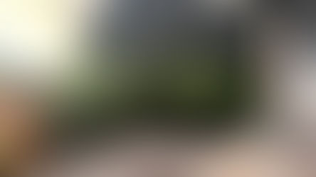 July - The plants are taking over …