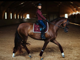 What the Hell is Dressage Anyways?