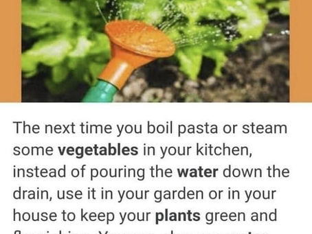 Gardening Tips