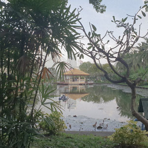 Bangkok
