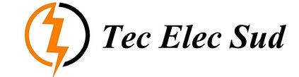 Logo Tec Elec Sud (25 x 10 cm) (15 x 5 cm) (10 x 5 cm).jpg