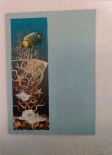 Thumbnail: Sea Life - set of 8 cards